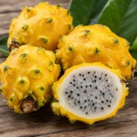 Yellow Dragon Fruit 